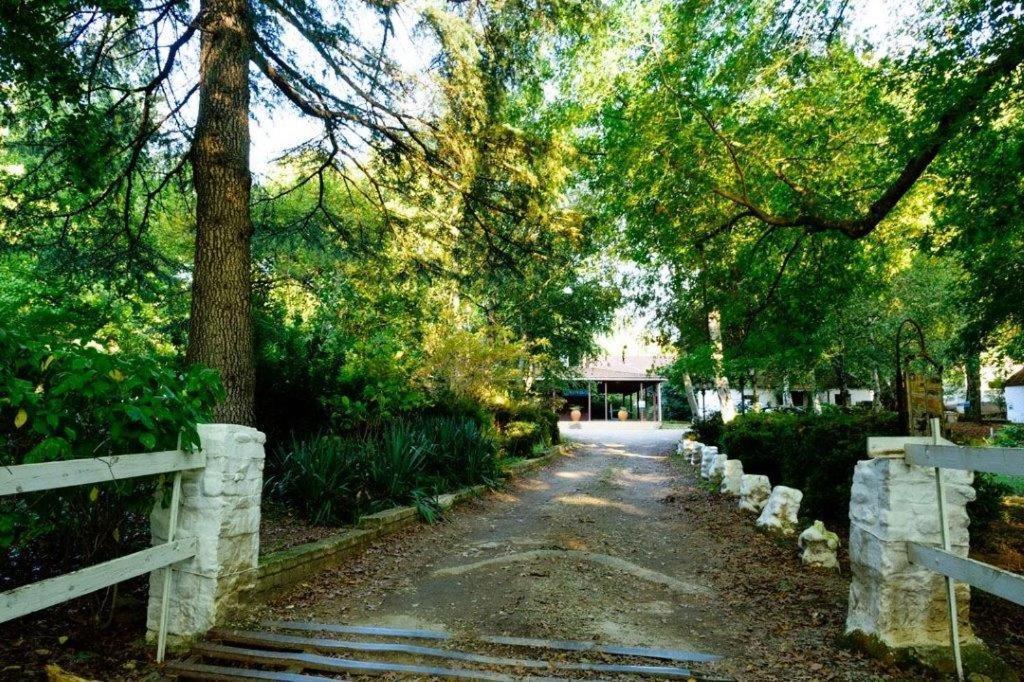 Kings Lodge Hotel Hogsback Exterior photo