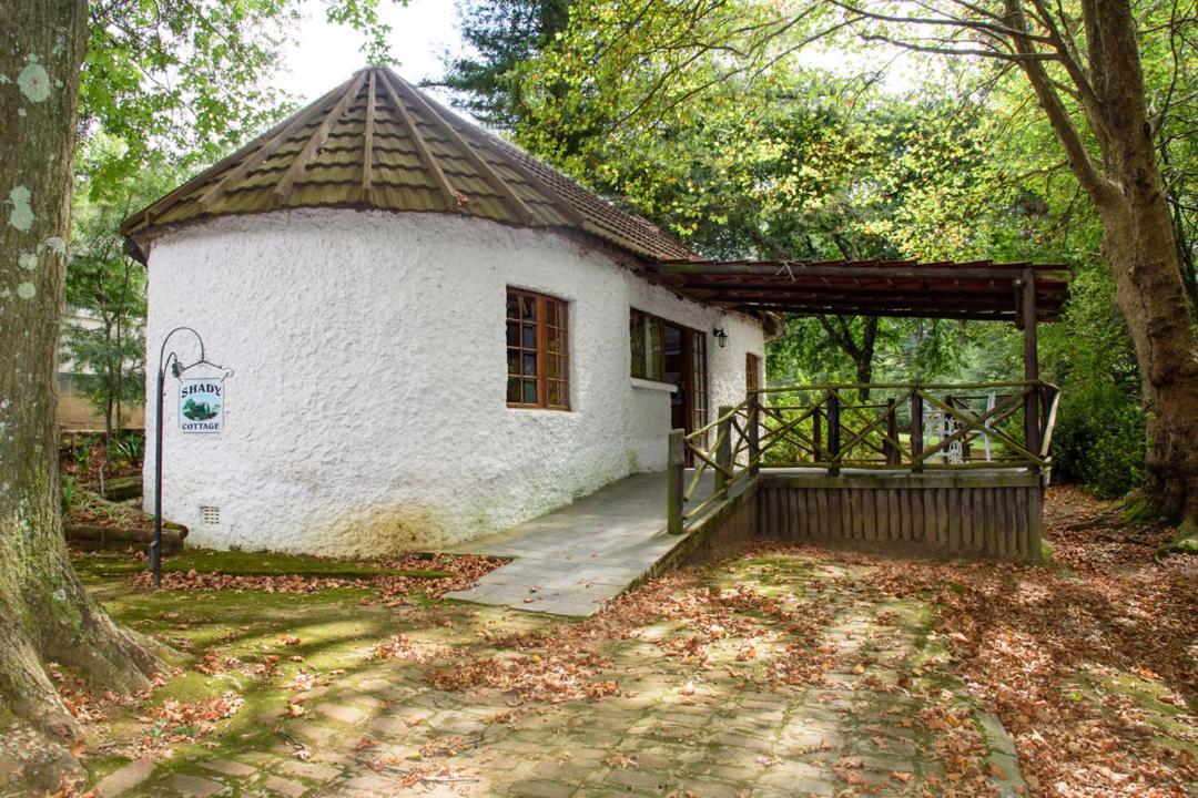 Kings Lodge Hotel Hogsback Exterior photo